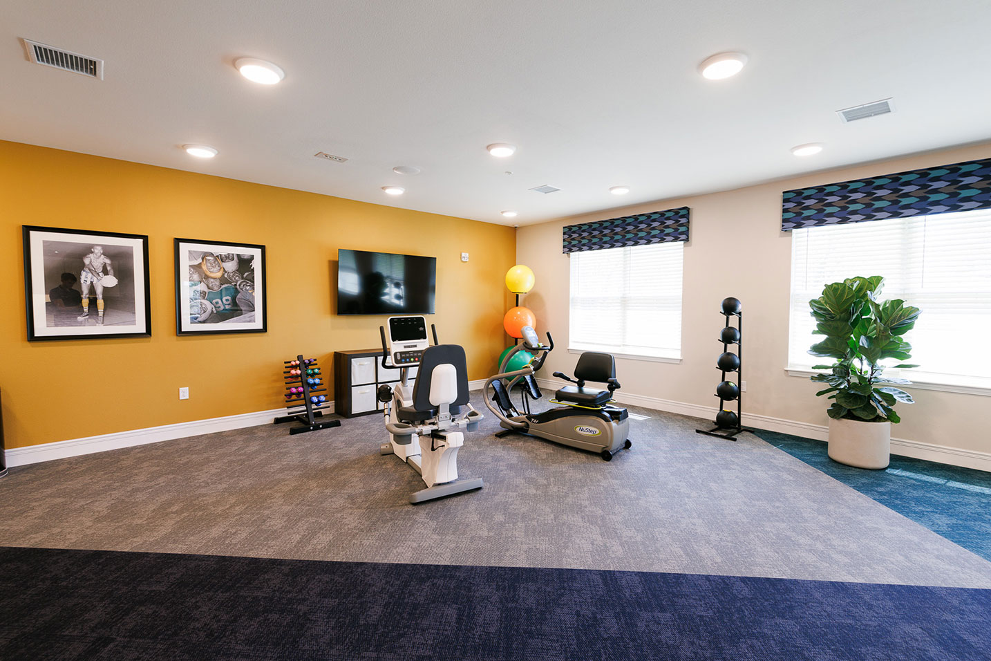 Fitness center at Barrymore Senior Living, showcasing exercise equipment, natural light, and elegant decor.