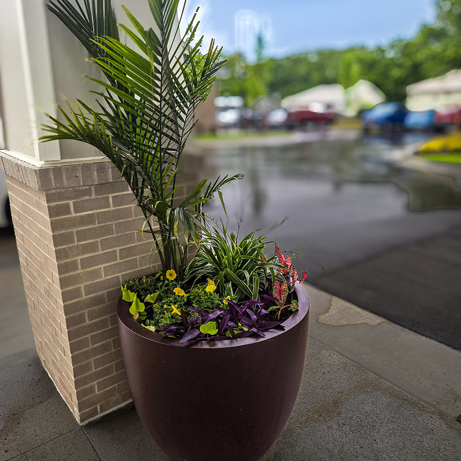 An outdoor planter at The Barrymore Senior Living, filled with colorful flowers and plants.